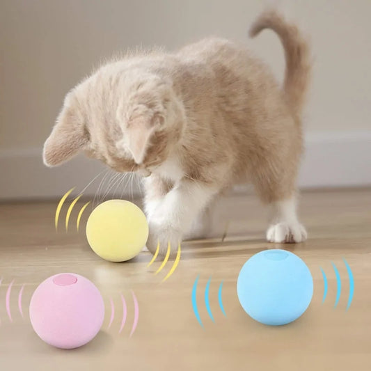 Live Ball - FelinoToys